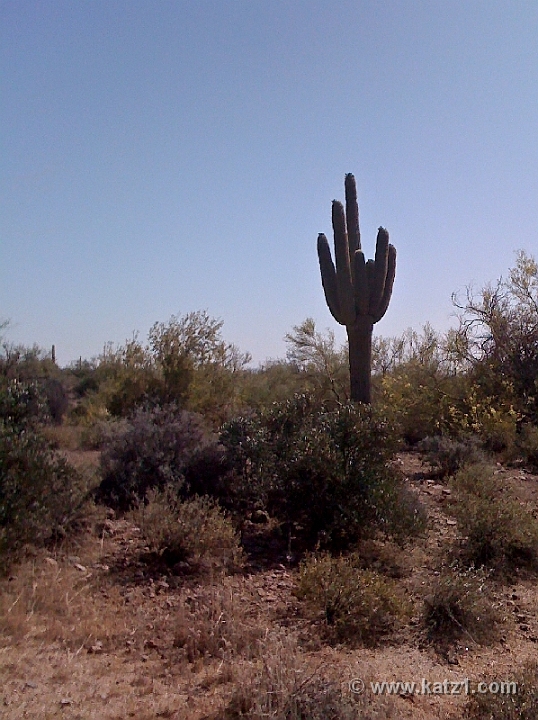 Pictures from iPhone 054